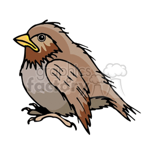 A clipart image of a brown bird with yellow beak and various shades of brown feathers.