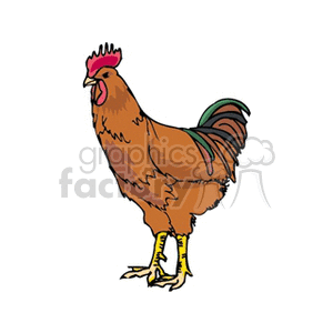 A colorful clipart image of a rooster with vibrant brown and green feathers, a red comb, and yellow legs.