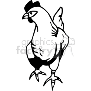 Black and white clipart image of a chicken.