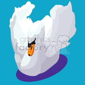A clipart image of a white swan with its wings spread, set against a blue background.
