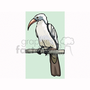 Clipart image of a bird with a light body, orange beak, and dark tail feathers, perched on a branch.