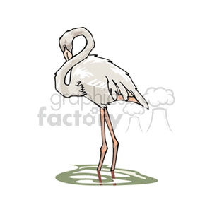 Clipart illustration of a flamingo standing in water with its head turned and one leg lifted.