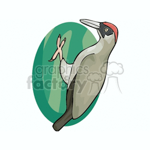 Clipart image of a woodpecker perched on a tree, showcasing its distinctive red head and green background.