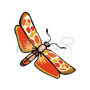 This image features a stylized illustration of a butterfly. It is a colorful representation with shades of orange, yellow, and small touches of red on the wings, along with beige in the body and dark lines outlining the wings and body parts.