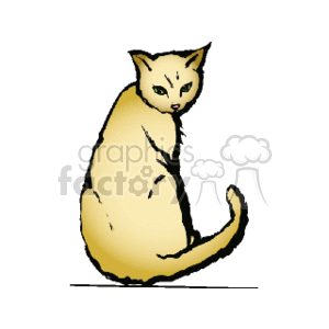 Domesticated yellow cat looking over its shoulder