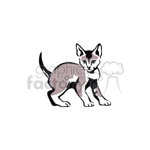 The clipart image shows a Sphynx cat, which is a breed known for its lack of fur. The cat appears to be drawn in a simplistic style, highlighting its distinctive features such as its large ears, muscular body, and hairless skin.