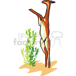 This is a stylized clipart image featuring a slender animal that appears to be a gazelle or an antelope. It is standing upright on its hind legs, which is not typical animal behavior but may be depicted this way for artistic or conceptual purposes. Next to the animal, there is green foliage, possibly representing grass or shrubs, and it is on a background that suggests sandy ground, hinting at a savanna-like habitat where such animals are commonly found. The gazelle or antelope itself is depicted with elongated limbs and body, and it's colored in shades of brown, tan, and white, with spots and patterns that evoke the idea of wildlife.