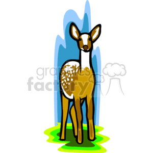 Forward facing fawn standing on green ground against a blue background