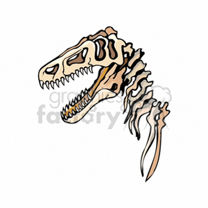 The image depicts a stylized representation of the fossilized skull and partial neck skeleton of a Tyrannosaurus rex (T. rex), which is a species of theropod dinosaur that lived during the late Cretaceous Period.