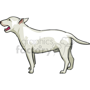 The clipart image shows a stylized white dog with a robust build, standing and facing the left side. The dog appears to be a breed similar to a bull terrier or pit bull, characterized by its muscular structure, short coat, and the shape of its head and ears.