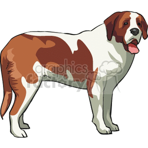 The image shows a clipart illustration of a Saint Bernard dog. This dog is depicted with brown and white fur, and its tongue hanging out, a typical trait signifying the dog is panting or hot.