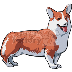 The clipart image depicts a cartoon of a corgi dog, which is a small to medium-sized breed known for its short legs and long body. The dog appears happy and is likely meant to represent a pet.