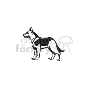 This clipart image depicts a German Shepherd dog, with its characteristic alert stance and pointed ears, which are common traits of the breed. It appears to be a simple line drawing, suitable for various types of graphic design or educational materials related to pets or animals, specifically dogs.