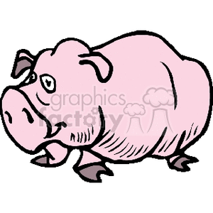 Cartoon Pig Illustration - Farm Animal