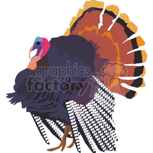 Colorful Turkey - Ideal for Thanksgiving and Farm Animal Themes