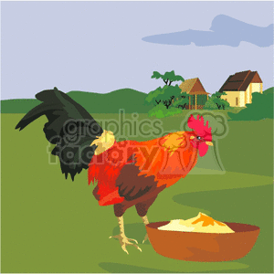 Colorful Rooster on Green Farmland - Country Farm