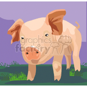 The clipart image depicts a cute cartoon piglet standing in a farm setting with a purple sky in the background.