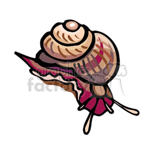 Colorful Snail Illustration
