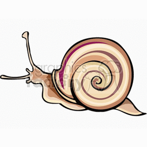 Cartoon Snail With Striped Shell