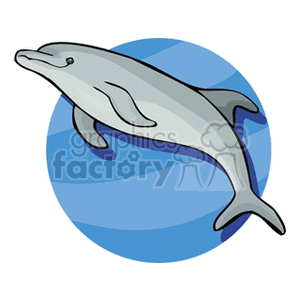 The clipart image shows a cartoon representation of a single dolphin, which is a marine mammal known for its intelligence, playfulness, and acrobatic abilities. The dolphin is depicted in a simplified and stylized form, with smooth lines and soft shading that give it a friendly and approachable appearance. The background features abstract blue shapes, suggesting an aquatic environment.