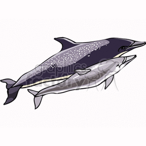 This clipart image features two stylized dolphins. The dolphins are depicted in shades of gray and blue, with the larger one on top and the smaller one below. They are illustrated in a simplified form, which is typical of clipart, with some detail that suggests the texture of their skin.