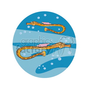 Tropical Pipefish in Underwater Scene - Exotic Marine Life