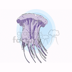 Exotic Jellyfish Image – Ocean Wildlife