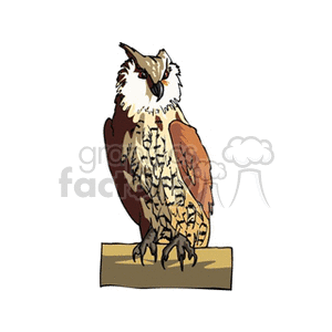 Owl Illustration - Perched Bird