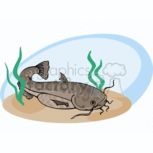 The clipart image shows a cartoon representation of a catfish. The catfish is portrayed on a sandy substrate, possibly the bottom of a body of water, with green aquatic plants on either side. The background includes a blue shade that suggests water.