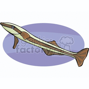 The image is a clipart illustration of a fish that resembles an eel. It has a long slender body, fins, and is colored with shades of brown and beige.