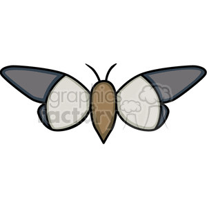 A clipart image of a butterfly with gray and white wings and a brown body.