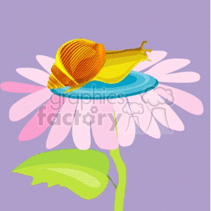 The clipart image features a colorful cartoon snail on a daisy flower. The snail has an orange shell and a yellow body, and it appears to be gently resting on the blue center of the daisy. The daisy has pink petals and a green stem with one leaf.