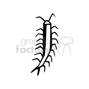 Centipede Black and White
