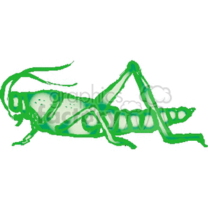 A clipart image of a green grasshopper with long antennae.