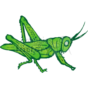 The image is a clipart of a green grasshopper, which is an insect. The grasshopper is depicted in a profile view, showing its long hind legs, which are adapted for jumping, as well as its antennae and segmented body. The style is simplified and cartoonish, typical of clipart illustrations.