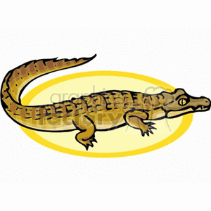 Cartoon Crocodile