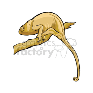 The clipart image shows a cartoon chameleon perched on a branch. The chameleon is stylized with exaggerated features such as a large curled tail and a somewhat rounded body.