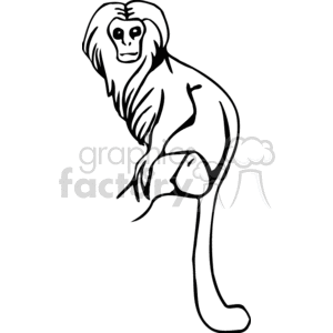 Line art of a monkey with a prominent mane-like feature, sitting on a branch with its tail hanging down.