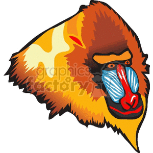 Colorful and stylized clipart image of a babons face showcasing its vibrant and distinct features.
