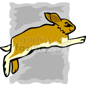 Jumping brown rabbit