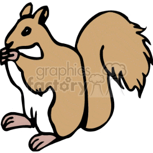 Squirrel Image - Cute Cartoon Rodent