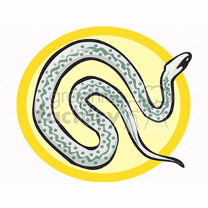 snake14