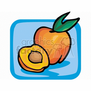 Illustration of whole and half apricots with leaves on a blue background.