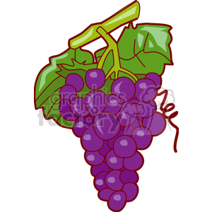 A clipart illustration of a bunch of purple grapes with green leaves.