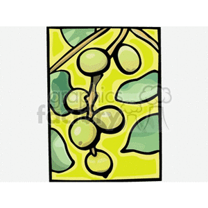 Clipart image of green mangoes on a tree with leaves.