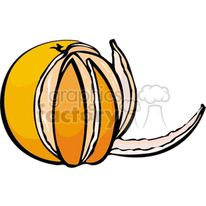 Clipart image of a peeled orange showing its segments.