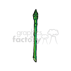 Green Asparagus Spear