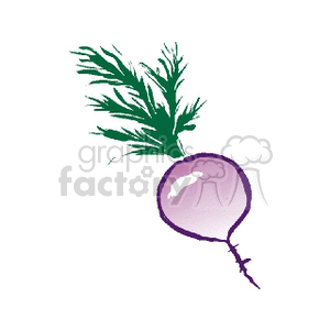A clipart image of a radish with green leafy tops and a purple root.