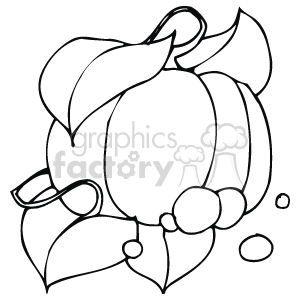 Thanksgiving - Pumpkin with Leaves Outline