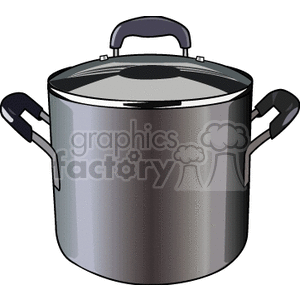 Stainless Steel Cooking Pot